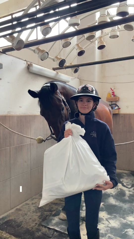 TikTok video thumbnail by ms__equestrian
