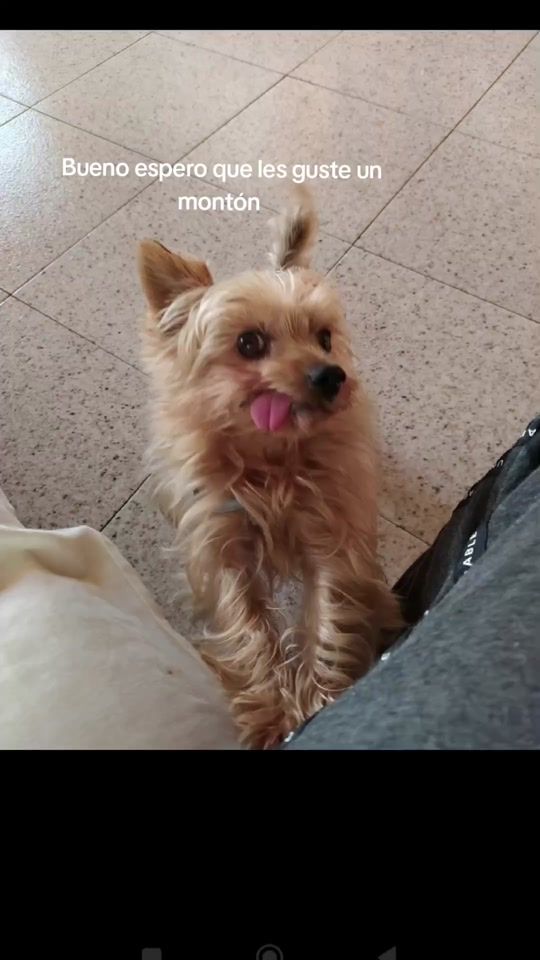 TikTok video thumbnail by judiithh002