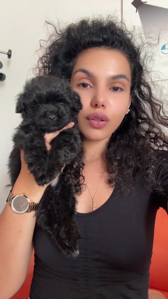 TikTok video thumbnail by awexi95