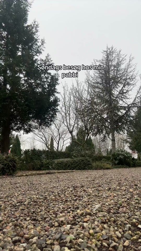 TikTok video thumbnail by kristin1237