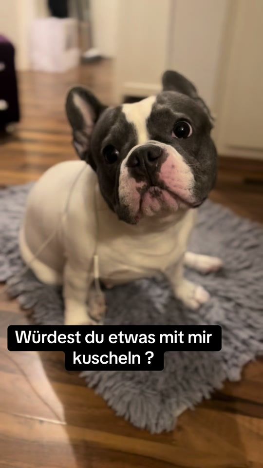 TikTok video thumbnail by nelli_little_princess