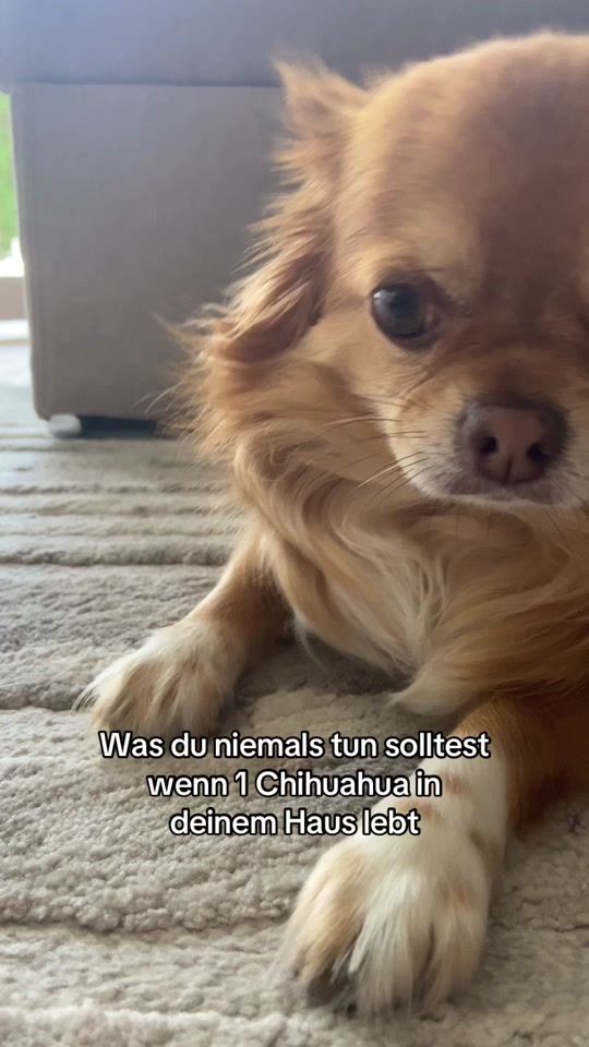 TikTok video thumbnail by crawalitoffi
