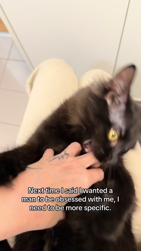 TikTok video thumbnail by xlecat