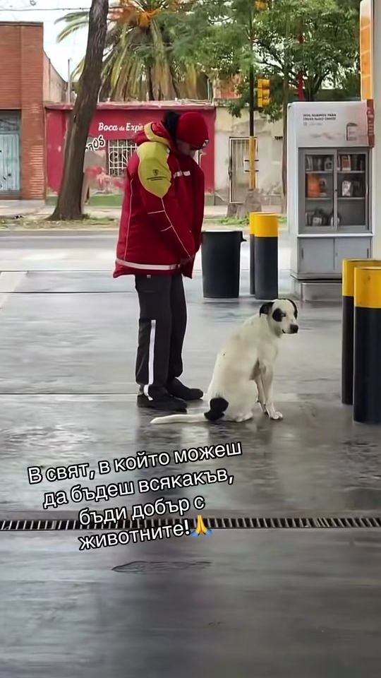 TikTok video thumbnail by monkatakt
