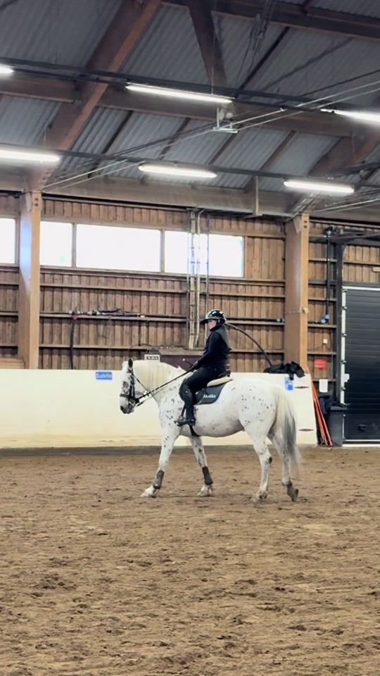 TikTok video thumbnail by mh_equestrian