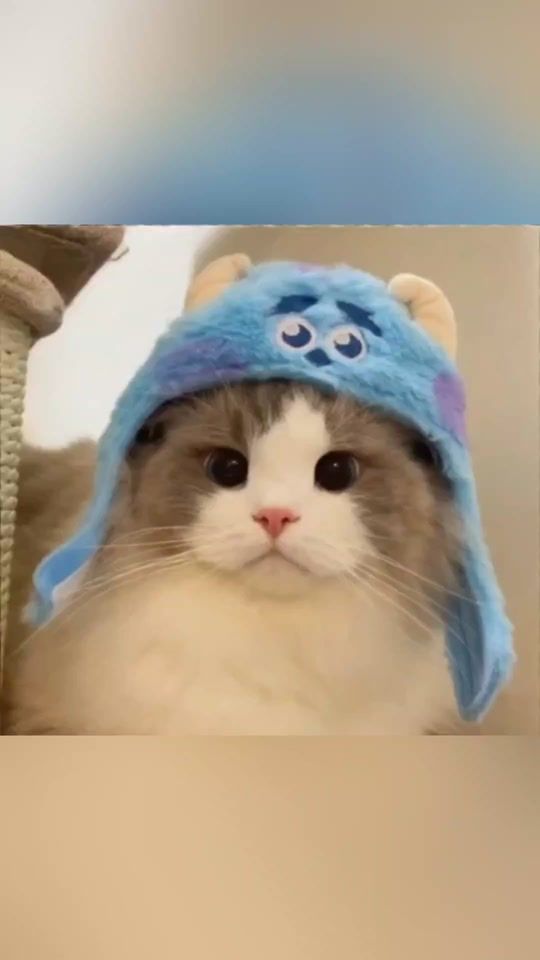 TikTok video thumbnail by latte.cat8