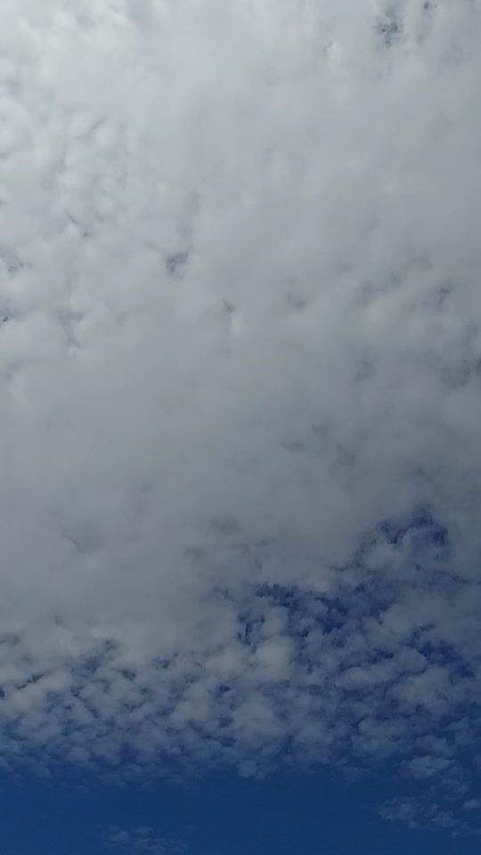 TikTok video thumbnail by daivadjpa