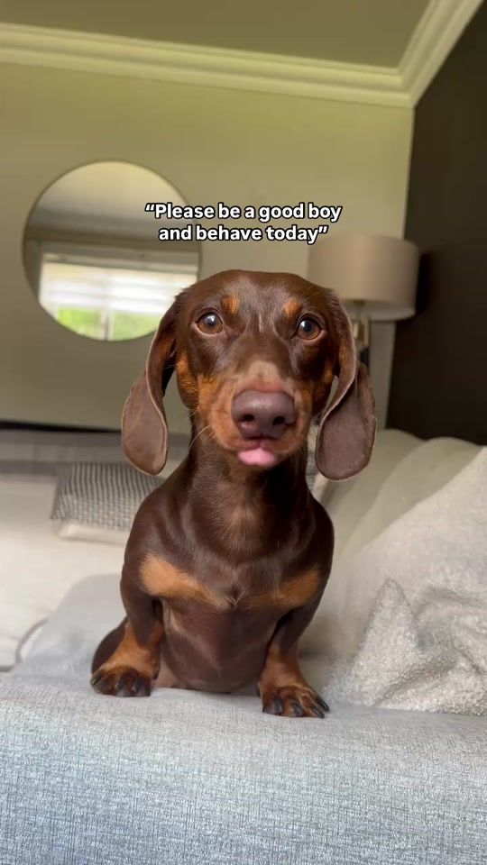 TikTok video thumbnail by linkandmash