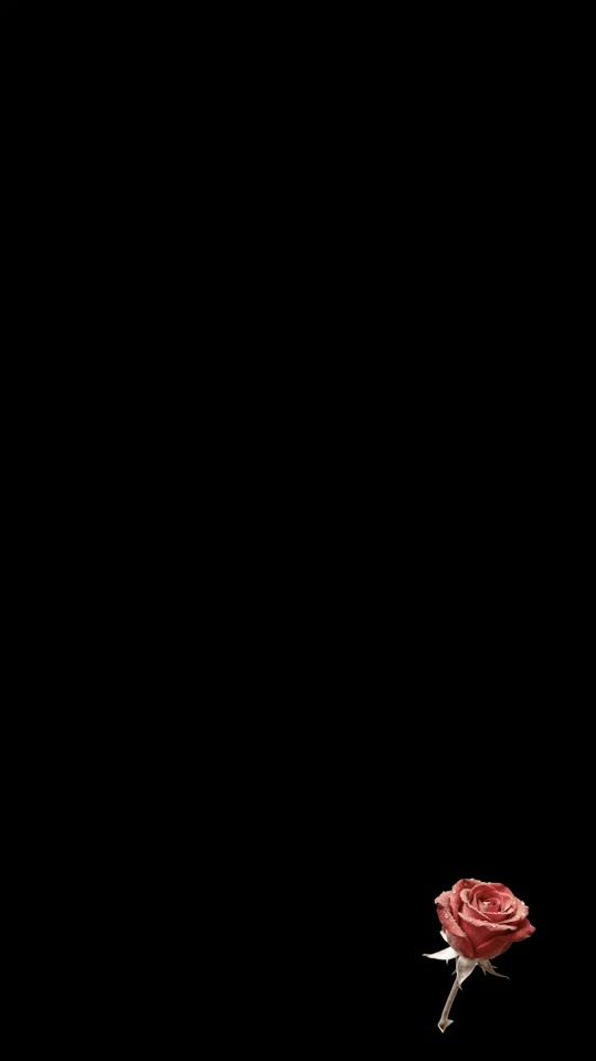 TikTok video thumbnail by razan_altaha