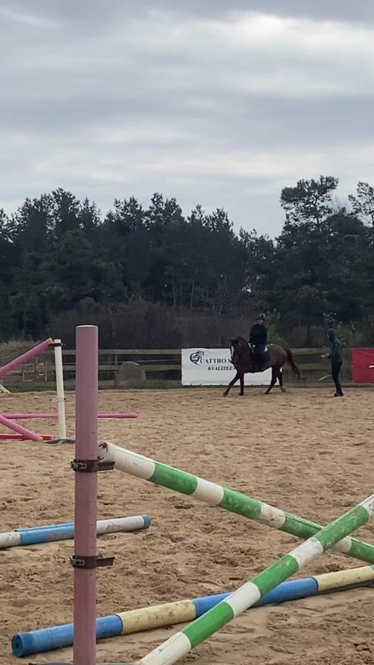 TikTok video thumbnail by me_showjumping