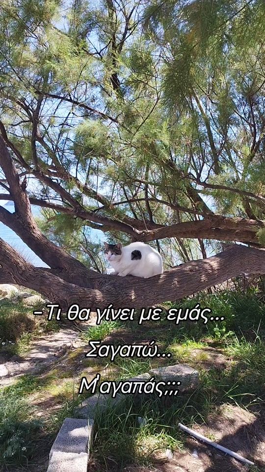 TikTok video thumbnail by katia.marinoy