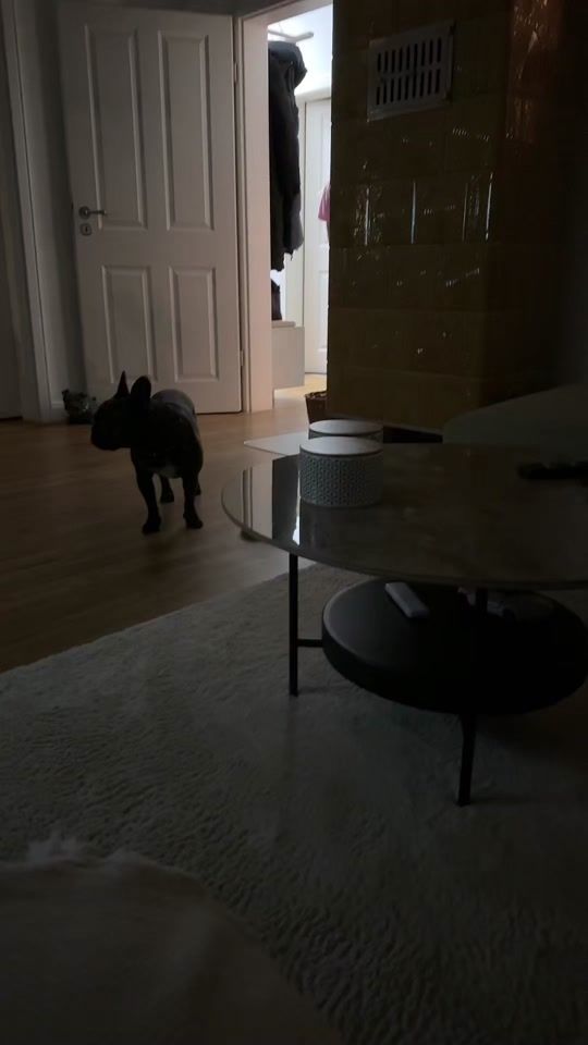TikTok video thumbnail by bbqbaloo