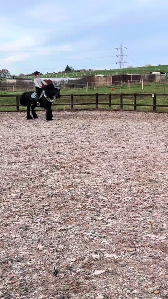 TikTok video thumbnail by equi.faithh