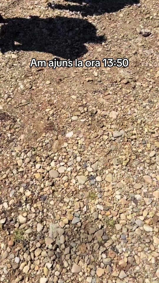 TikTok video thumbnail by viciudaiana_16
