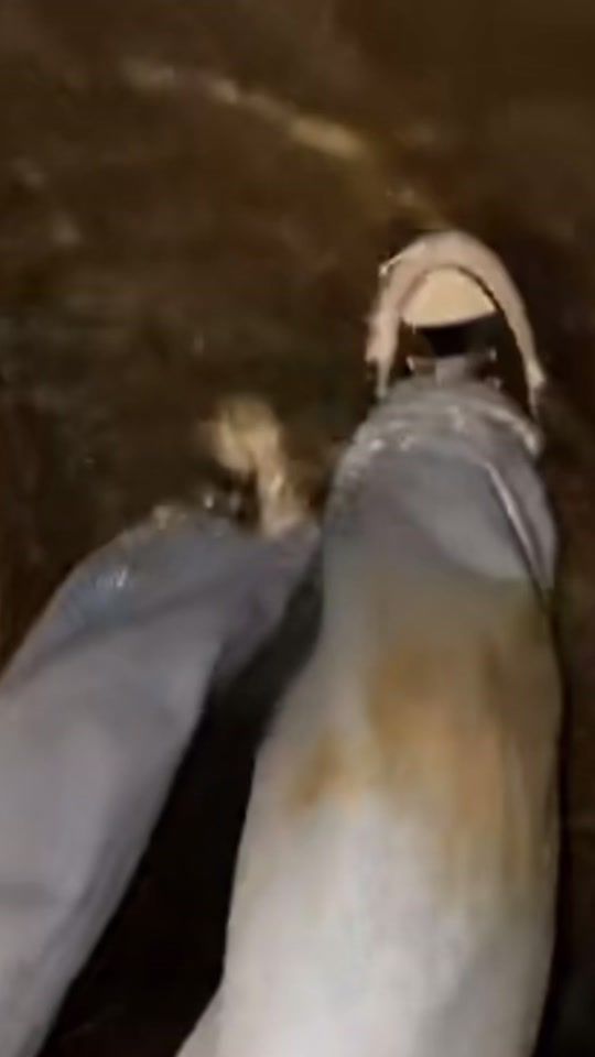 TikTok video thumbnail by user228211504
