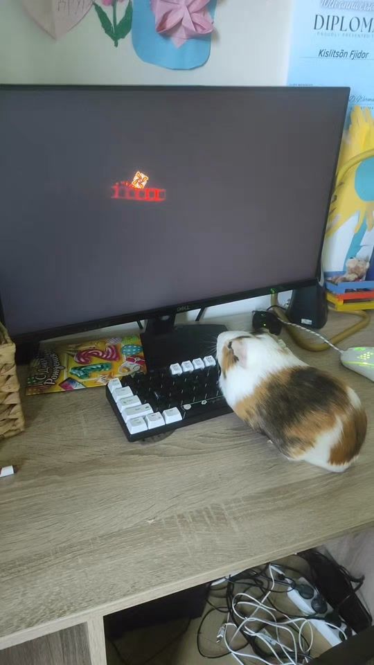 TikTok video thumbnail by fedor.svinka.gd