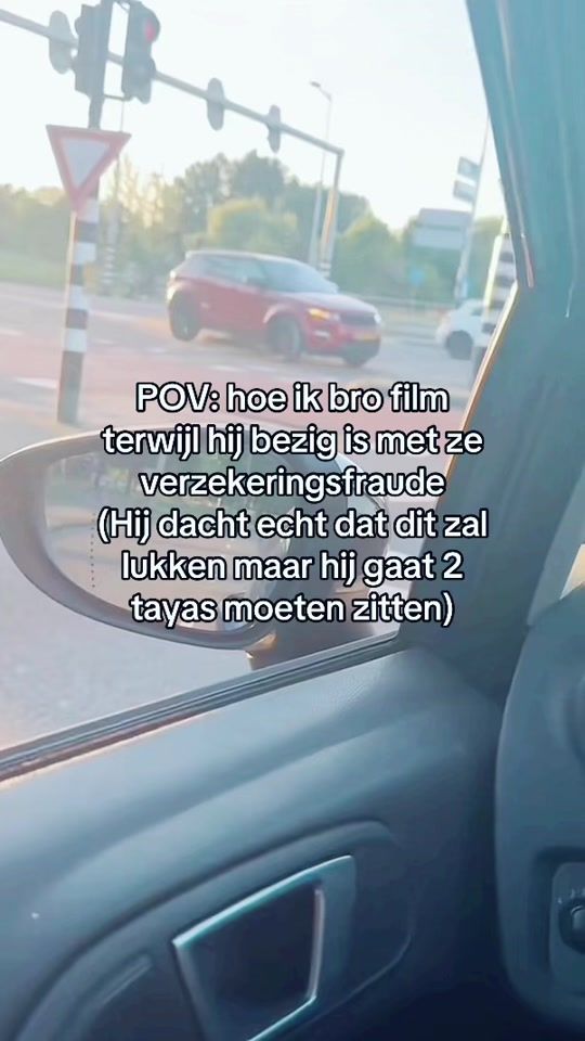 TikTok video thumbnail by eltigre.nl