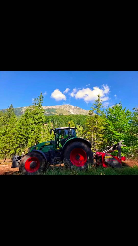 TikTok video thumbnail by davidstreissi