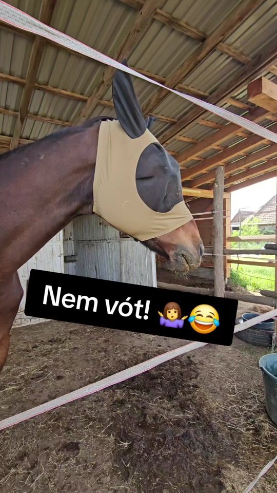 TikTok video thumbnail by f.reni89