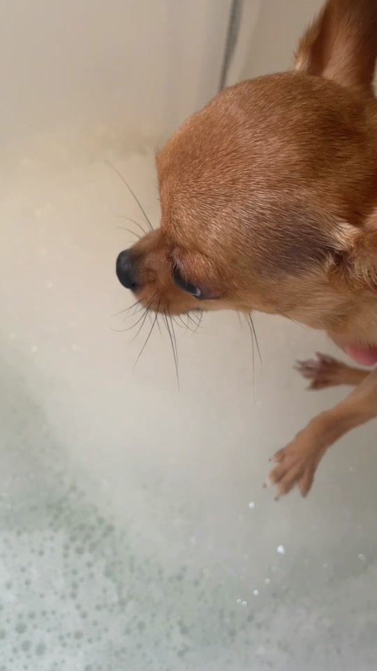 TikTok video thumbnail by miss.sofie.k