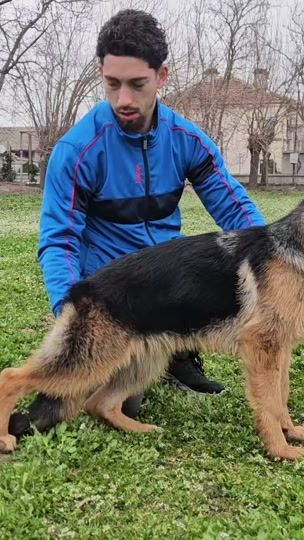 TikTok video thumbnail by hristo_gsd