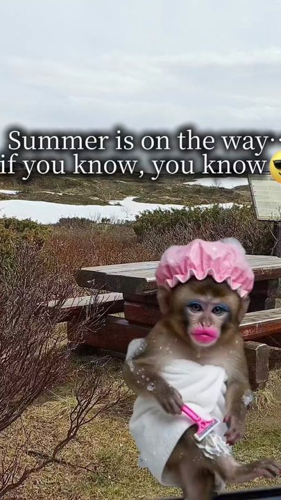 TikTok video thumbnail by mary.f.lund