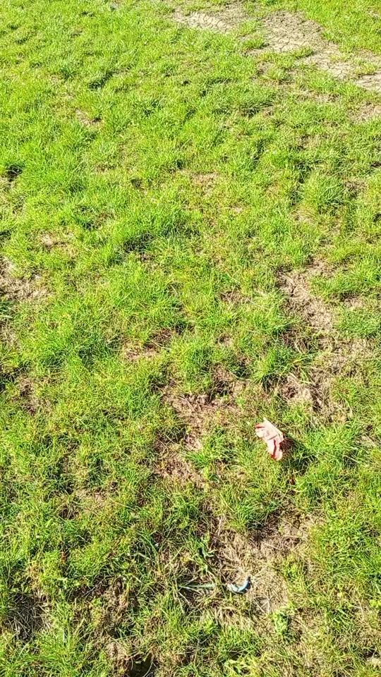 TikTok video thumbnail by claudia.constanta