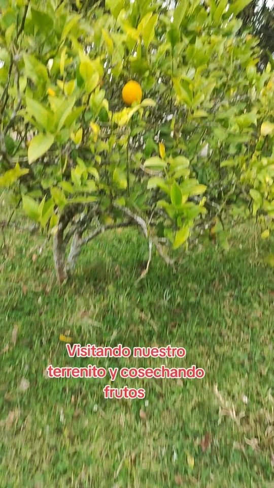 TikTok video thumbnail by lolita.m07