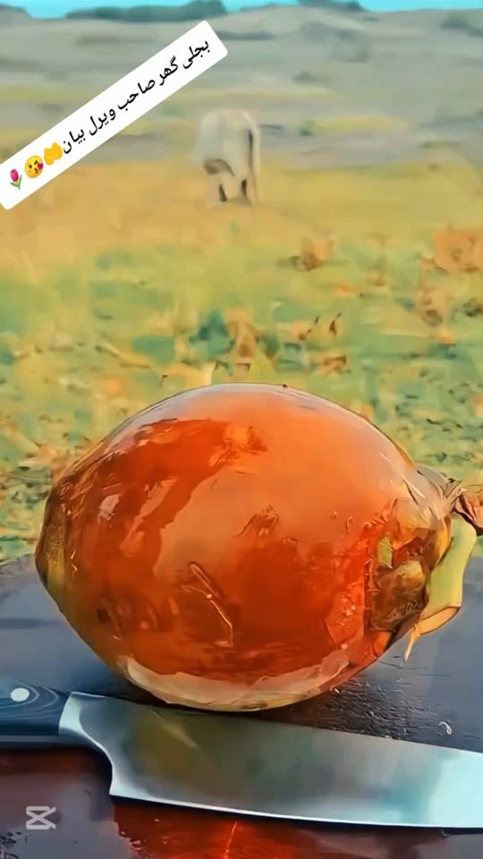 TikTok video thumbnail by sadeequllahjarar1