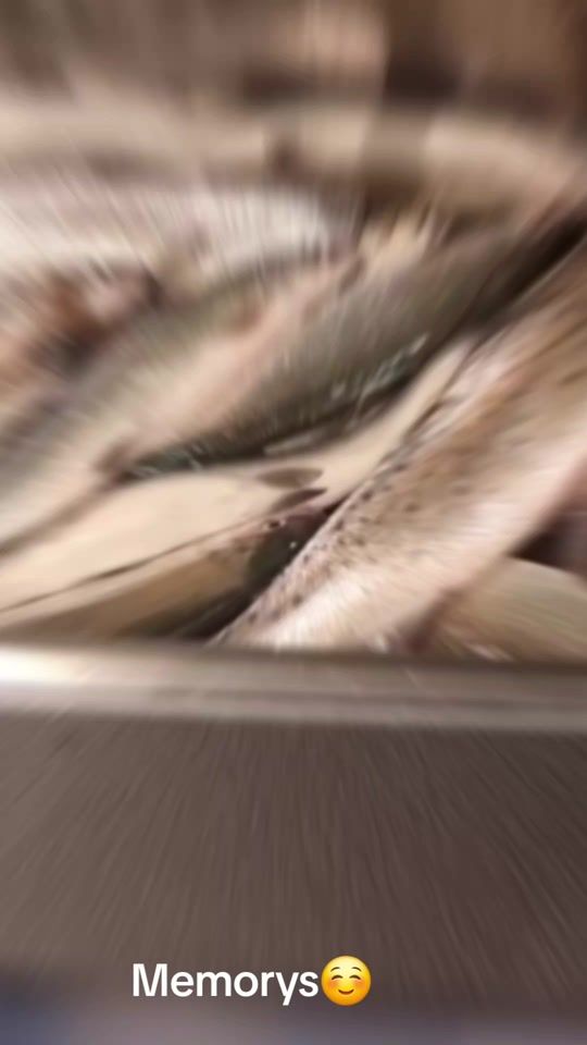 TikTok video thumbnail by fishinggedi