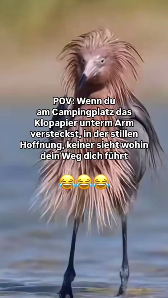 TikTok video thumbnail by sabinekluth