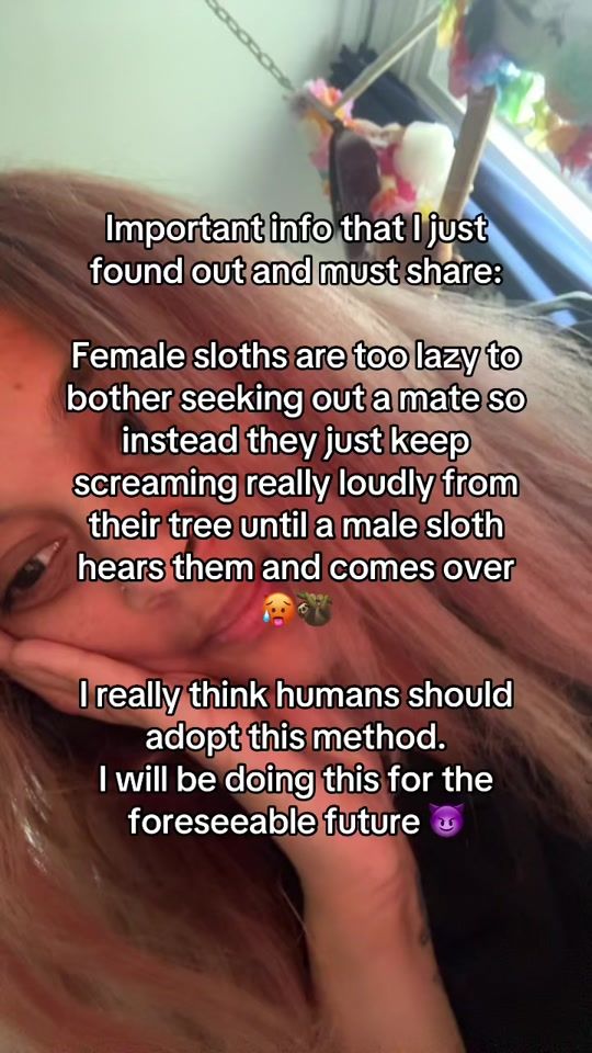 TikTok video thumbnail by gripppysocks