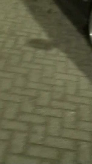 TikTok video thumbnail by tadeusas69