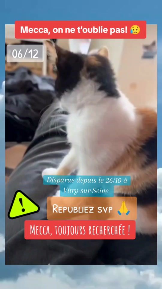 TikTok video thumbnail by lecomptoirdescreatifs
