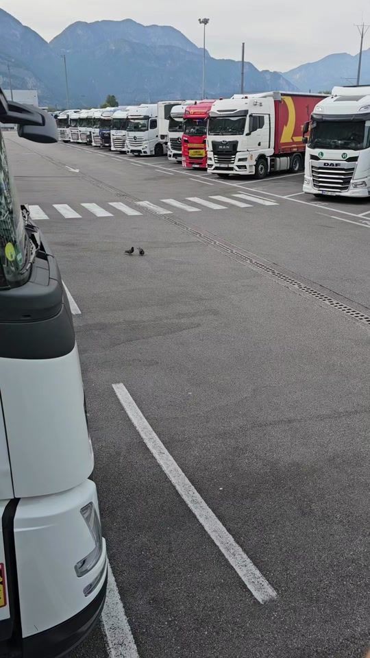 TikTok video thumbnail by zivile45