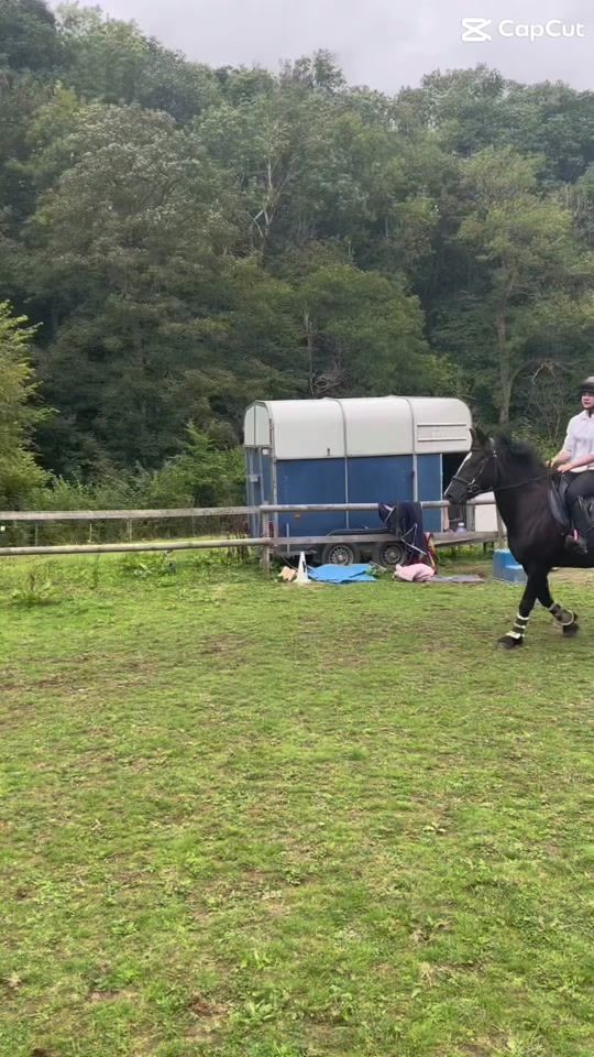 TikTok video thumbnail by amelialilly_morris214