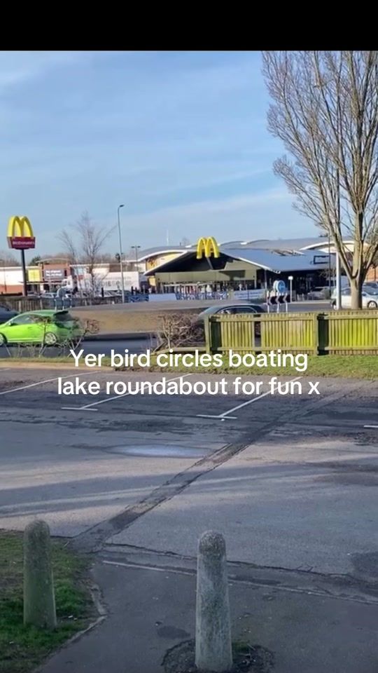TikTok video thumbnail by incellectualsgrimsby