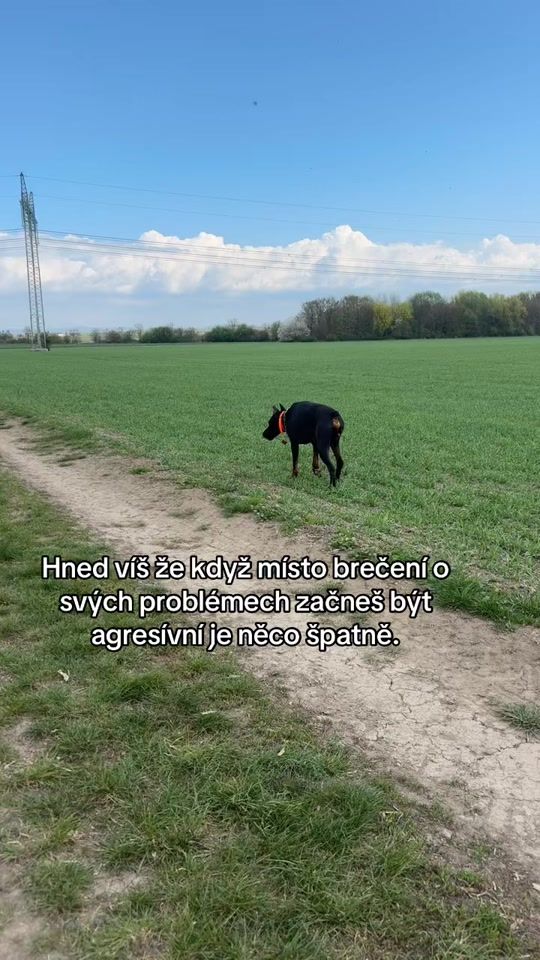 TikTok video thumbnail by wendyvranova
