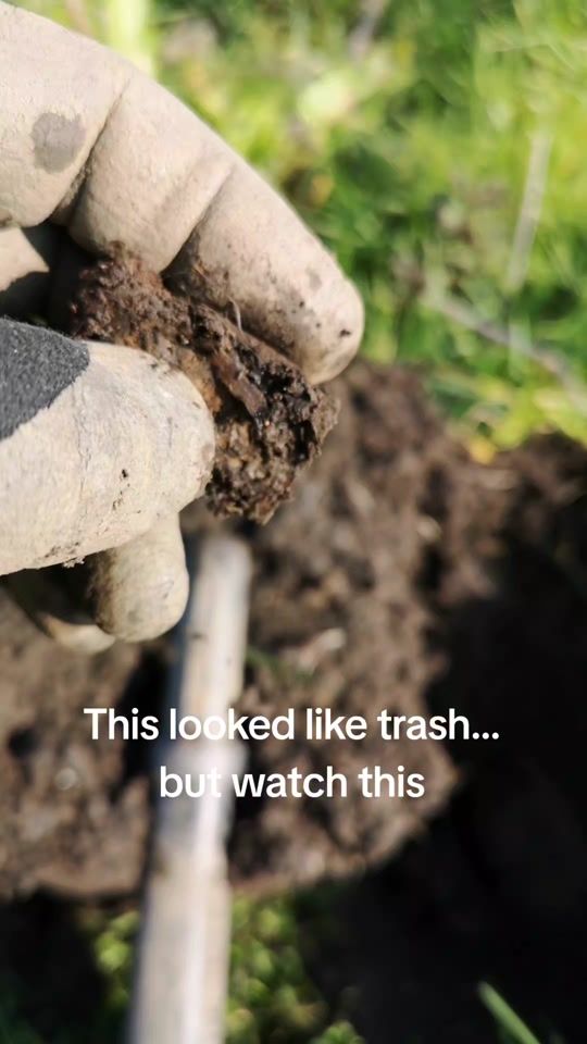 TikTok video thumbnail by detectorist.vito