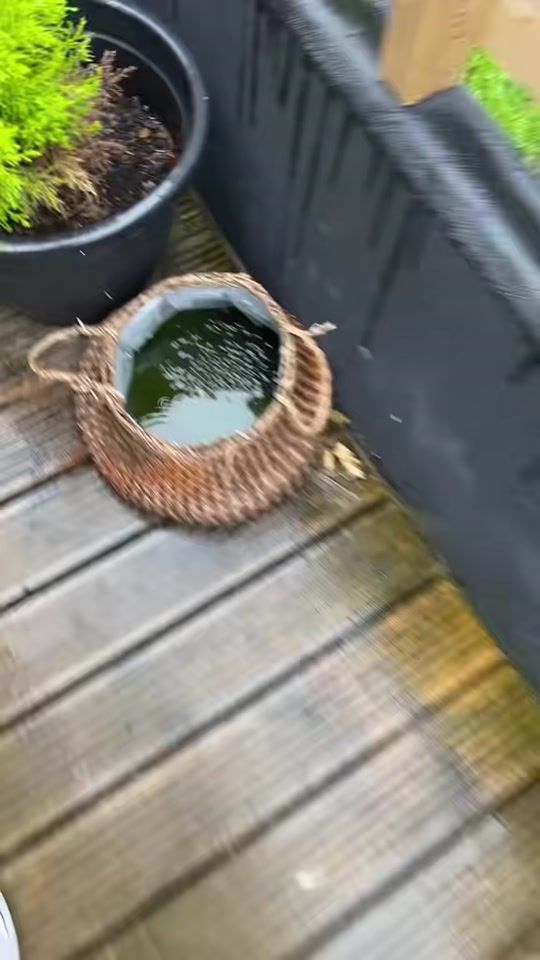 TikTok video thumbnail by ben_acrs