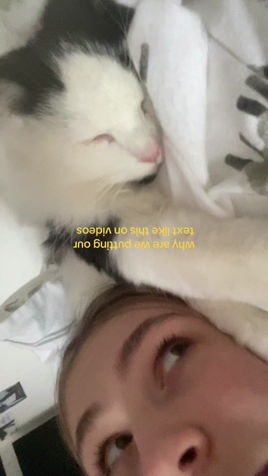 TikTok video thumbnail by zeeforzara