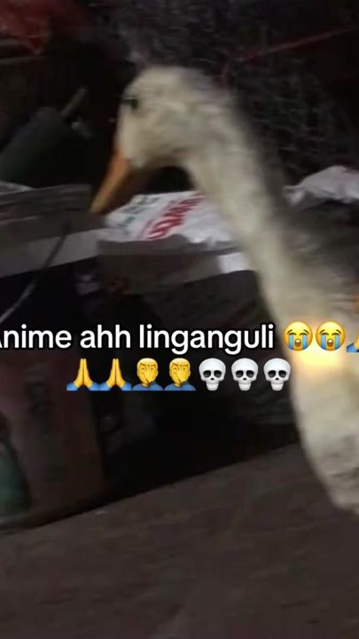 TikTok video thumbnail by brainrot_page