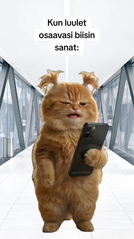 TikTok video thumbnail by teukkaliinos