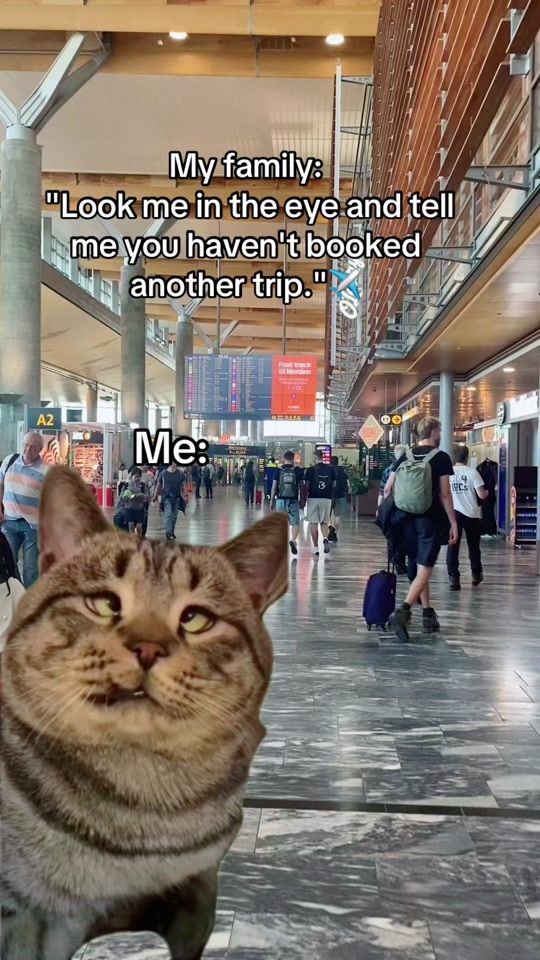 TikTok video thumbnail by cubanvikinga