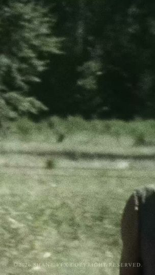 TikTok video thumbnail by shane.vfx