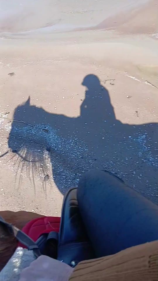 TikTok video thumbnail by maritepastaigajas