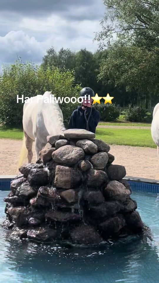 TikTok video thumbnail by thea.equi