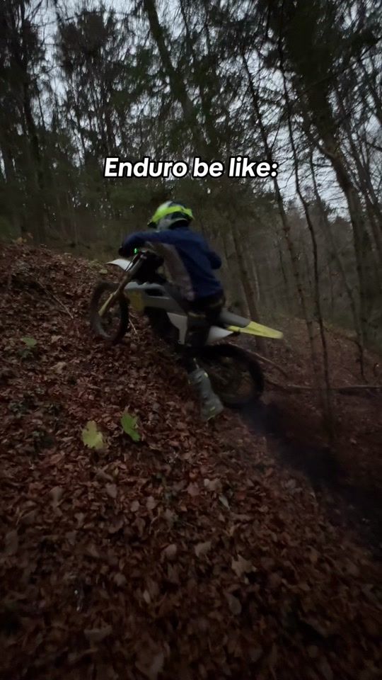 TikTok video thumbnail by 1endurox1