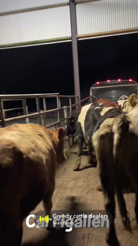 TikTok video thumbnail by jamieleavy0