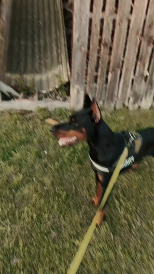 TikTok video thumbnail by realgeting